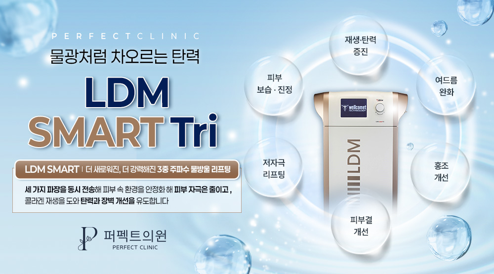 ldm 스마트 도입